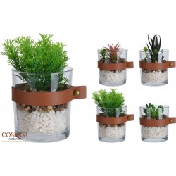 **A1/G-PROMOCION Planta en...