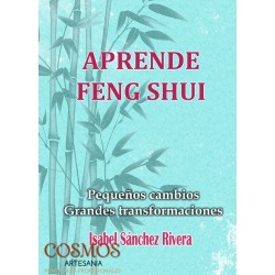 **B1-G.Libro Aprende Feng...