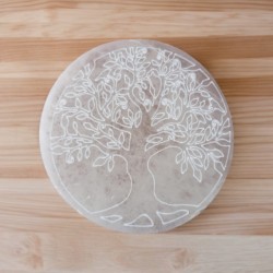 **B6-Placa Ø10cm árbol de...