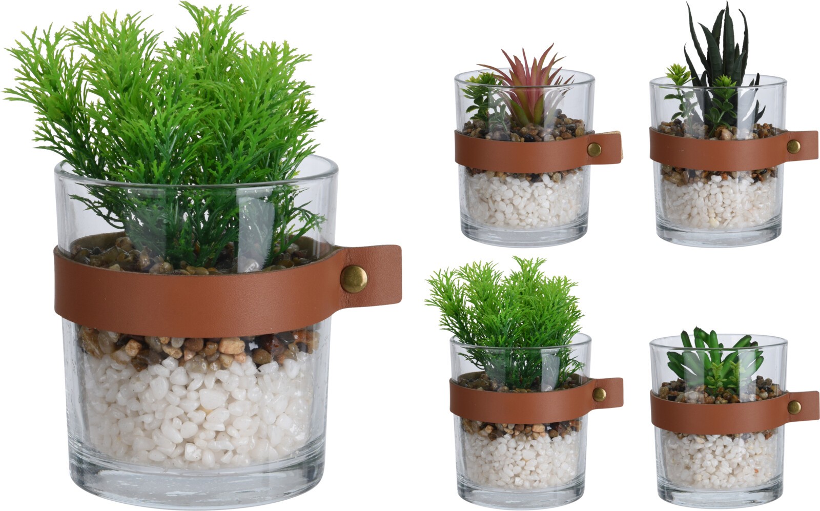 **A1/G-PROMOCION Planta en vaso con cinta 8.5x12cm (precio por unidad)