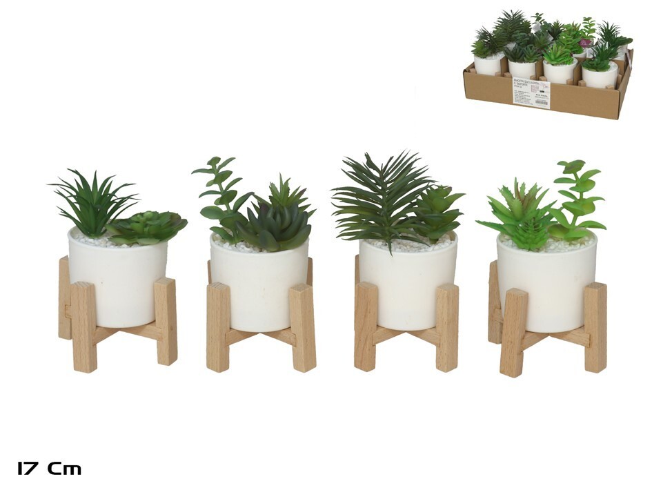 **G-PROMOCION Maceta suculenta con soporte 17cm (precio por unidad)