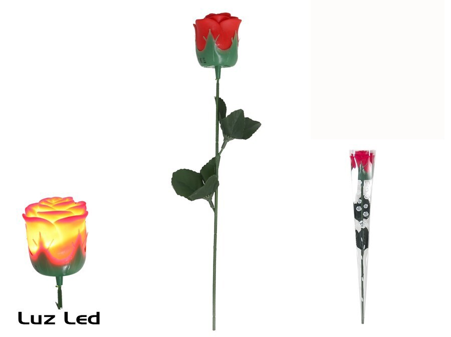 **G-PROMOCION Capullo Rosa Led